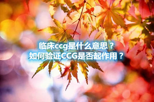 临床ccg是什么意思？如何验证CCG是否起作用？