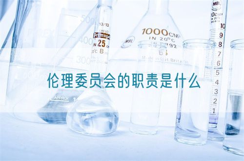 伦理委员会的职责是什么