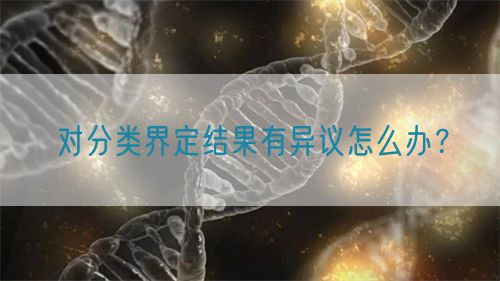 对分类界定结果有异议怎么办？(图1)