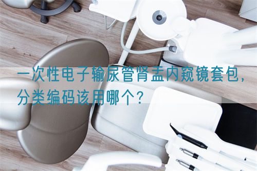 一次性电子输尿管肾盂内窥镜套包，分类编码该用哪个？(图1)