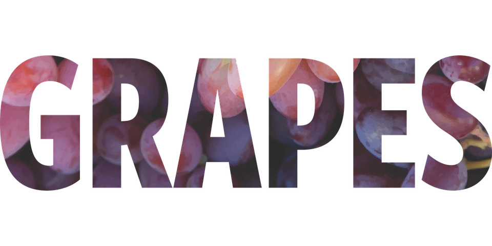 医疗器械经营许可证仓储场地的要求(图1) 医疗器械经营许可证仓储场地的要求(图1)