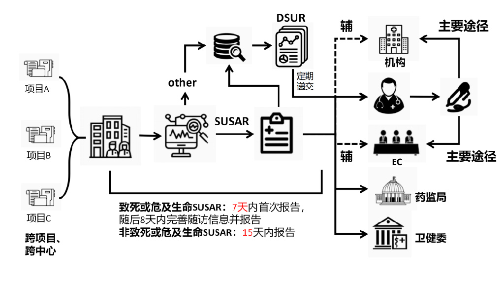 临床试验安全性事件如何上报？临床试验不良事件上报流程图(图3)